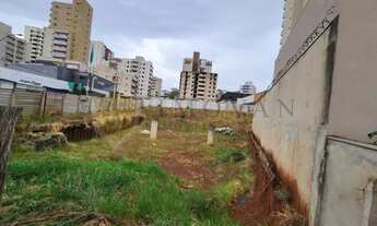 Imagem 2: Terreno Padrão em Ribeirão Preto