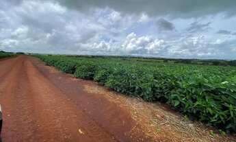 Imagem 2: Fazenda a venda - Nazário - GO