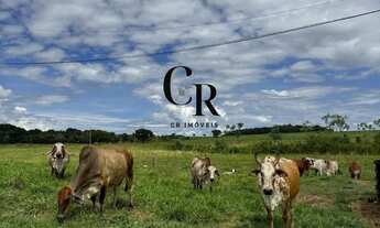 Imagem 6: Fazenda no Município de Maripotaba/GO