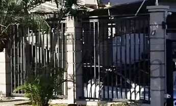 Imagem: Oportunidade - Apartamento - Vila Zizinha