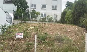 Imagem 2: Terreno cinquentenário