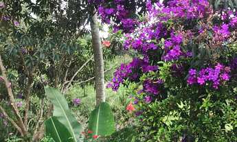 Imagem 2: Maravilhosa chácara,região de caete mg,50km de BH