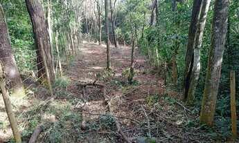 Imagem 6: Terreno em Mateus Leme