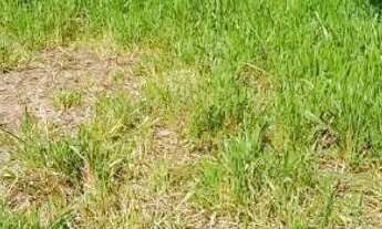 Imagem 2: Terreno Jardim Maracanã Seropédica