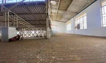 Imagem 7: Galpão Comercial no Centro de Botucatu