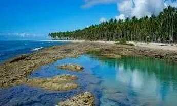 Imagem 2: Imóvel para venda possui 45 metros quadrados com 1 quarto em Praia dos Carneiros - Tamanda