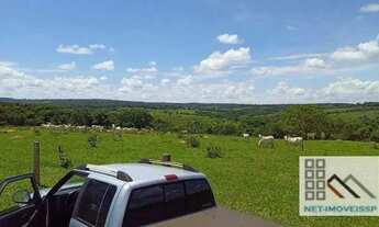 Imagem 7: FAZENDA (170 hectares), CASA SEDE EXCELENTE. COMPLETA INFRAESTRUTURA PARA OPERAÇÃO E PRODU