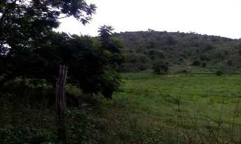 Imagem 4: Vendo sítio Fazenda / sítio com venda por R$600.000