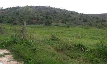 Imagem 3: Vendo sítio Fazenda / sítio com venda por R$600.000