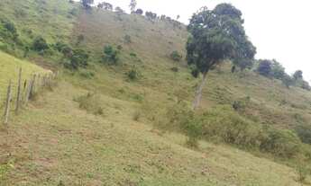 Imagem 6: Linda fazenda no Vale do Mucuri