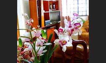 Imagem 7: Linda chácara no rio Ivaí (Vivenda dos pescadores) 20 min d Maringá permuta carro, terreno