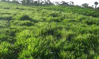 Imagem 2: Terra, sítio,Colônia