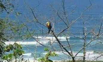 Imagem 2: TERRENO RESIDENCIAL em IMBITUBA - SC, PRAIA DO ROSA