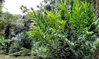 Imagem 3: Ubatuba, Praia do Félix, Terreno de 1.000m2, com licenciamento finalizando e com projeto p