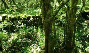 Imagem 2: Belíssimo Terreno em Urupema