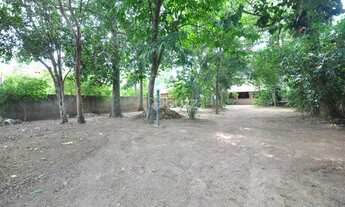 Imagem 2: Terreno - Campeche - Florianópolis