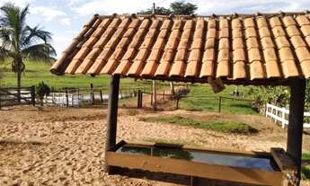 Imagem 3: Oportunidade Vendo Sítio com Área de 15.7 alqueires na região de Bauru