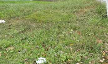 Imagem: Terreno à venda, 360 m² por R$ 530.000,00