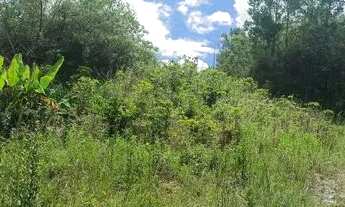 Imagem 7: Lindo terreno em Ibicoara (chapada Diamantina