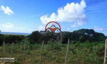 Imagem 5: Terreno à venda no bairro IMBASSAÍ - Mata de São João/BA