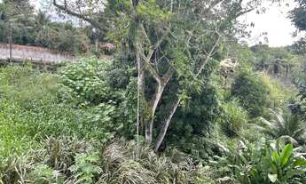 Imagem 5: Aldeia - aluguel ou venda