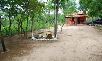 Imagem 5: Sítio Chácara com venda por R$40.000