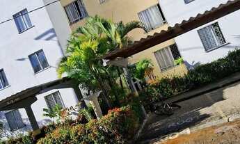 Imagem 4: Vende se apartamento no condomínio Jaime Norberto