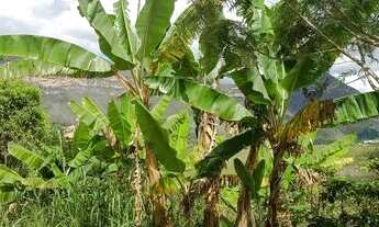 Imagem: Lindo terreno em Ibicoara (chapada Diamantina