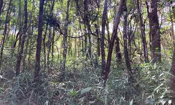 Imagem 5: Lote em Condomínio à venda, Pasárgada - Nova Lima/MG