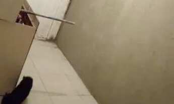 Imagem 2: Alugo 450 Casa com 2 dormitórios