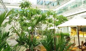 Imagem 3: Linda sala comercial no Recreio