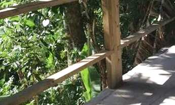 Imagem 4: Aluguel Casa 2 quartos