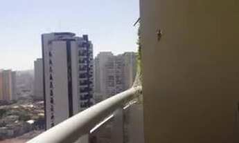 Imagem 2: São Paulo - Apartamento Padrão - Tatuapé