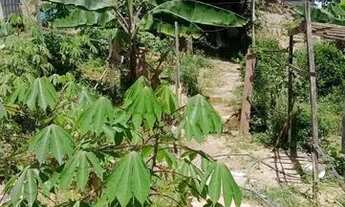 Imagem 4: Comunidade Nova vida