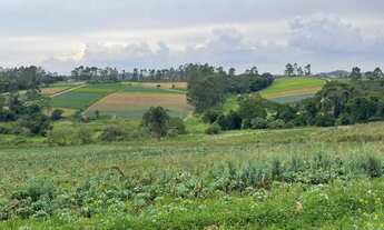 Imagem 4: Libere sua criatividade: Terrenos planos no interior de SP para construir a casa perfeita