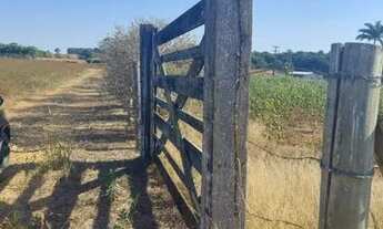 Imagem 2: Sítio - Área Rural de Mogi Mirim - Mogi Mirim