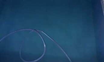 Imagem 2: Casa na terra firme na frente da faculdade ufra