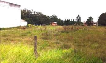 Imagem 2: Area para Venda - 0m², 0 dormitórios, Rondinha