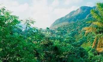 Imagem 3: Casa de condomínio para venda possui 580 metros quadrados com 4 quartos