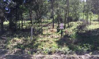Imagem 2: Terreno no Vale dos Pinheiros em Gramado!