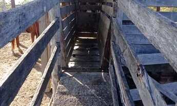 Imagem 4: Fazenda em Almas-TO. 50 mil por alqueire