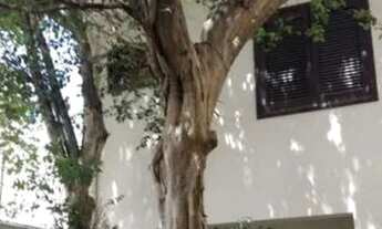 Imagem 5: SOBRADO - MOEMA ÍNDIOS - SP