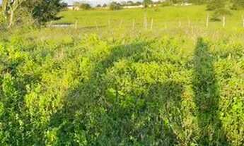 Imagem: Lote para construção 6x22 metros