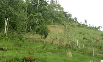 Imagem 5: Vendo terreno 30.000 mt2- R$50.000,00