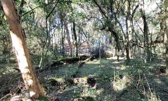 Imagem 5: Chácara em São Francisco de Paula - São Francisco de Paula