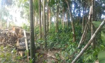 Imagem 5: Investimento ou moradia - Terreno em Pomerode/ SC - Testo Rega