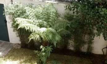 Imagem 6: SOBRADO - MOEMA ÍNDIOS - SP