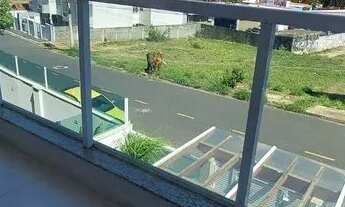 Imagem 4: Apartamento com 3 dormitórios à venda, 93 m² por R$ 585.000,00 - Mauá - Jaguariúna/SP