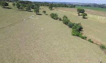Imagem: Fazenda em Goianápolis px de Goiânia