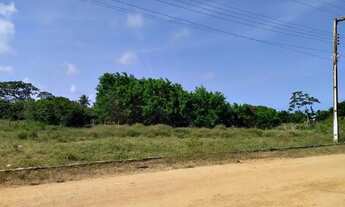 Imagem 3: Lote medindo 400 m² no Loteamento RGA, no Mosqueiro